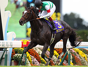 Epiphaneia Finally Gets Japanese Classic Win Epiphaneia Finally Gets Japanese Classic Win