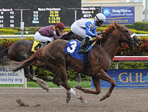 Dialed In Gets Wrong Number; Stablemate Wins Dialed In Gets Wrong Number; Stablemate Wins