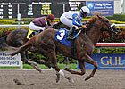 Dialed In Gets Wrong Number; Stablemate Wins Dialed In Gets Wrong Number; Stablemate Wins