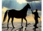 Equine Lending's Stormy Climate