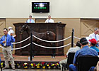$140,000 Colt Tops Louisiana Yearling Auction $140,000 Colt Tops Louisiana Yearling Auction