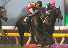 Erin Court Springs Surprise in Japanese Oaks Erin Court Springs Surprise in Japanese Oaks