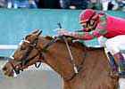 Ermine Leads Go For Wand Field