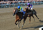'Reality' Hits Amberjack in Big Apple Triple 'Reality' Hits Amberjack in Big Apple Triple