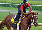 Haskin's Derby Report: Sad Morning at CD Haskin's Derby Report: Sad Morning at CD