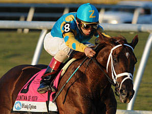 Judge Favors Zayat in Latest Legal Round Judge Favors Zayat in Latest Legal Round