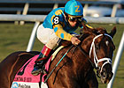 Eskendereya Tops Day 1 of KDFW Pool 3 Eskendereya Tops Day 1 of KDFW Pool 3