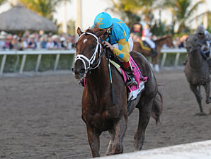 Pool 3 of Derby Future Wager Set to Begin