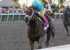 Pool 3 of Derby Future Wager Set to Begin