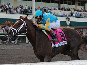 Inside Pedigrees: Derby by Pedigree Inside Pedigrees: Derby by Pedigree