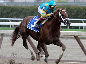 Eskendereya to Be Sold Under Zayat Plan Eskendereya to Be Sold Under Zayat Plan