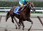 Eskendereya to Be Sold Under Zayat Plan Eskendereya to Be Sold Under Zayat Plan