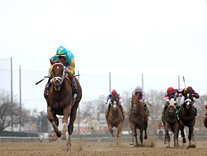 Eskendereya Tops Latest NTRA 3YO Poll Eskendereya Tops Latest NTRA 3YO Poll