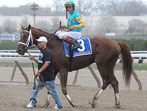 Eskendereya to Stand at Taylor Made Stallions Eskendereya to Stand at Taylor Made Stallions