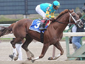 Eskendereya to Stand for $30,000 Eskendereya to Stand for $30,000