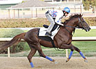 Japan's Espoir City Loosens Up at Churchill