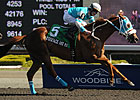 Essence Hit Man On Target in Vigil Victory