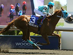 Essence Hit Man Breaks Woodbine Track Record Essence Hit Man Breaks Woodbine Track Record
