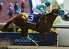 Essence Hit Man Breaks Woodbine Track Record