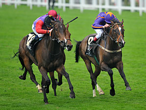 Estimate, No Nay Never Win at Royal Ascot Estimate, No Nay Never Win at Royal Ascot
