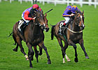 Estimate, No Nay Never Win at Royal Ascot Estimate, No Nay Never Win at Royal Ascot
