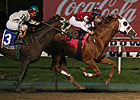 Etched Edges Kiss the Kid in Meadowlands Cup Etched Edges Kiss the Kid in Meadowlands Cup