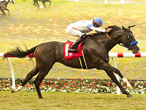 Gabriel Charles, Ethnic Dance Win at Del Mar Gabriel Charles, Ethnic Dance Win at Del Mar