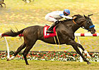 Gabriel Charles, Ethnic Dance Win at Del Mar Gabriel Charles, Ethnic Dance Win at Del Mar