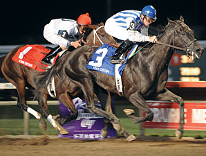 Spritely Likely Favorite in Molly Pitcher Spritely Likely Favorite in Molly Pitcher