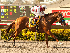 Grade I Winner Euroears to JEH in Oklahoma Grade I Winner Euroears to JEH in Oklahoma