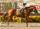 Grade I Winner Euroears to JEH in Oklahoma Grade I Winner Euroears to JEH in Oklahoma