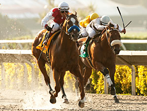 Euroears Excels in Record-Setting Crosby Win Euroears Excels in Record-Setting Crosby Win
