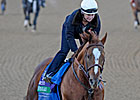 QH Owner Has Big BC Chance With Euroears