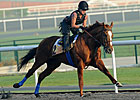 Stellar Fields Set for World Cup Undercard Stellar Fields Set for World Cup Undercard