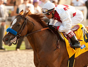 Baffert Quartet Drills Sharply for Cup Baffert Quartet Drills Sharply for Cup