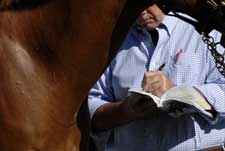 Walking the Walk: Consignors Cater to Buyers' Preferences When Showing Yearlings Walking the Walk: Consignors Cater to Buyers' Preferences When Showing Yearlings
