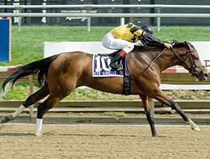 Eve Giselle Triumphs in Endine Stakes Eve Giselle Triumphs in Endine Stakes