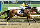 Eve Giselle Triumphs in Endine Stakes Eve Giselle Triumphs in Endine Stakes