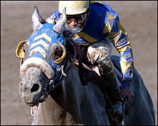 Aqueduct Offers Stakes Triple Header for 'Cup Hangovers Aqueduct Offers Stakes Triple Header for 'Cup Hangovers