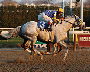 Evening Attire Hopes It's Off the Turf Evening Attire Hopes It's Off the Turf