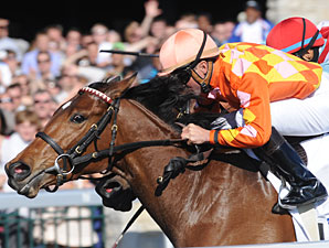 Evening Jewel Gives Turf a Try in Honeymoon Evening Jewel Gives Turf a Try in Honeymoon