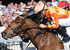 Evening Jewel Gives Turf a Try in Honeymoon Evening Jewel Gives Turf a Try in Honeymoon