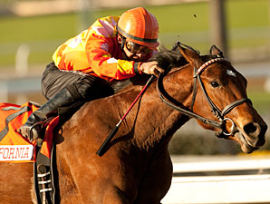 Joneses Buy Major Winner Evening Jewel Joneses Buy Major Winner Evening Jewel