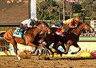 Rejuvenated Evening Jewel Leads Buena Vista