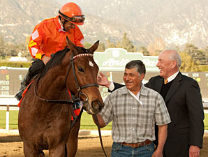Evening Jewel in Foal to Medaglia d'Oro Evening Jewel in Foal to Medaglia d'Oro