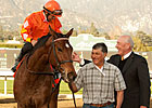 Evening Jewel in Foal to Medaglia d'Oro Evening Jewel in Foal to Medaglia d'Oro
