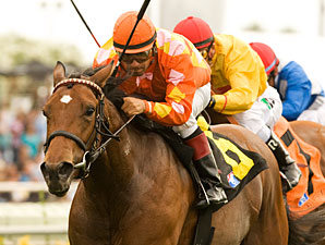 Evening Jewel After Del Mar Oaks Glitter Evening Jewel After Del Mar Oaks Glitter