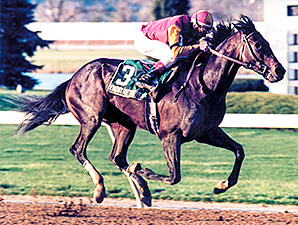Event of the Year Had Turfway Inspired in '98 Event of the Year Had Turfway Inspired in '98