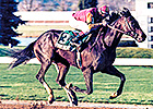Event of the Year Had Turfway Inspired in '98 Event of the Year Had Turfway Inspired in '98