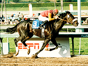 Grade II Winner Event of the Year Dead Grade II Winner Event of the Year Dead